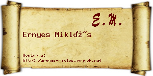 Ernyes Miklós névjegykártya